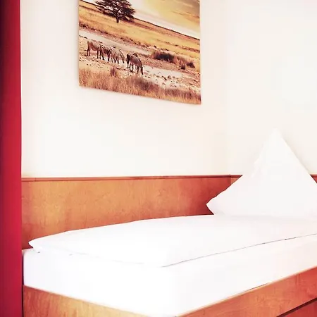 Hotel Pension Kaempfelbach 3* Kampfelbach